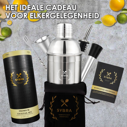 Cocktailshaker set zilver